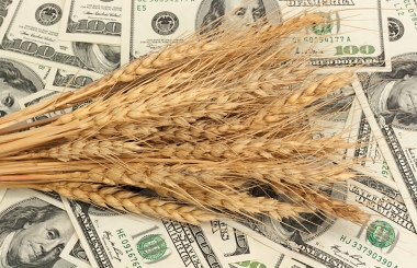 Правила зерновой торговли в РФ начнут действовать уже в 2019 году